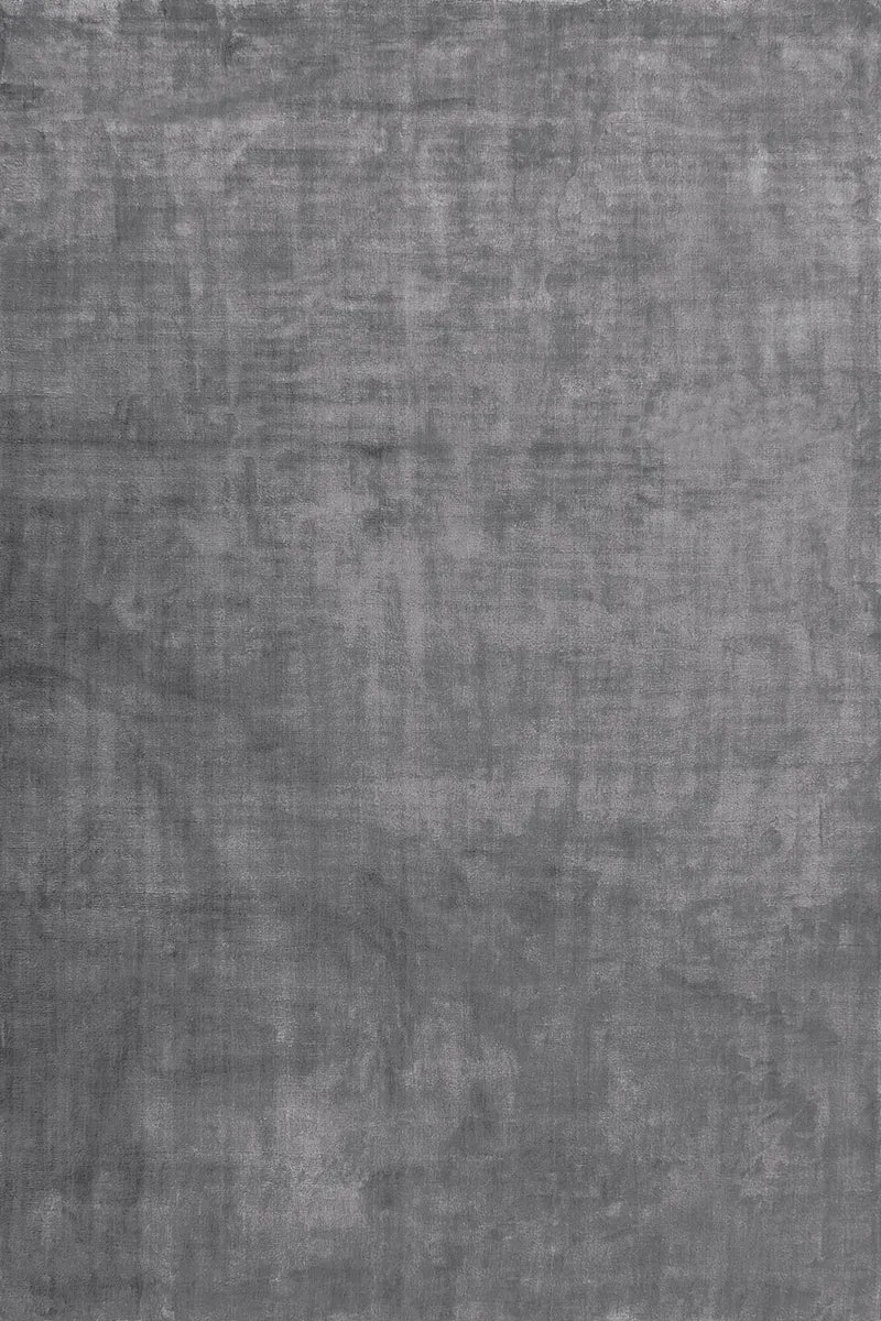Hampton Acier Viscose 200X300