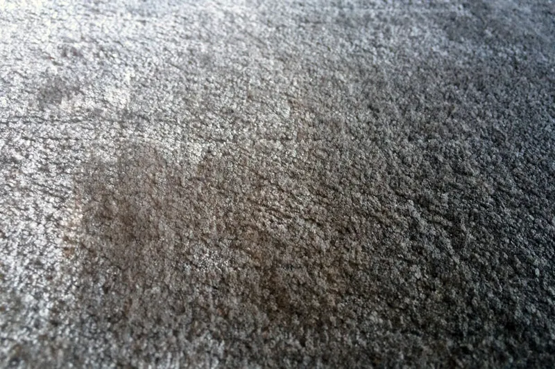 Noho Gris Irise Tencel 170X240