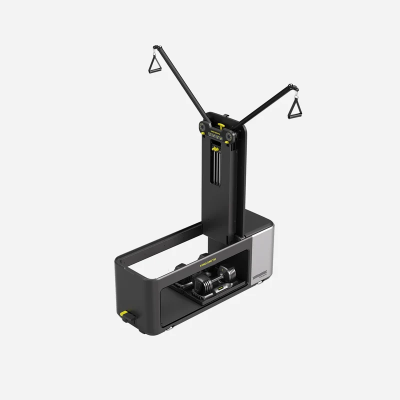 KingSmith BX2 Banc de musculation