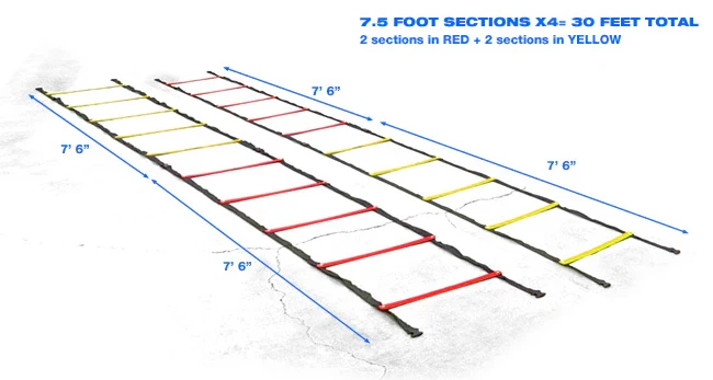 XM Échelle d'agilité de 30 pieds