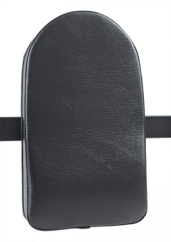 FIT505 Levée verticale des genoux VKR V2