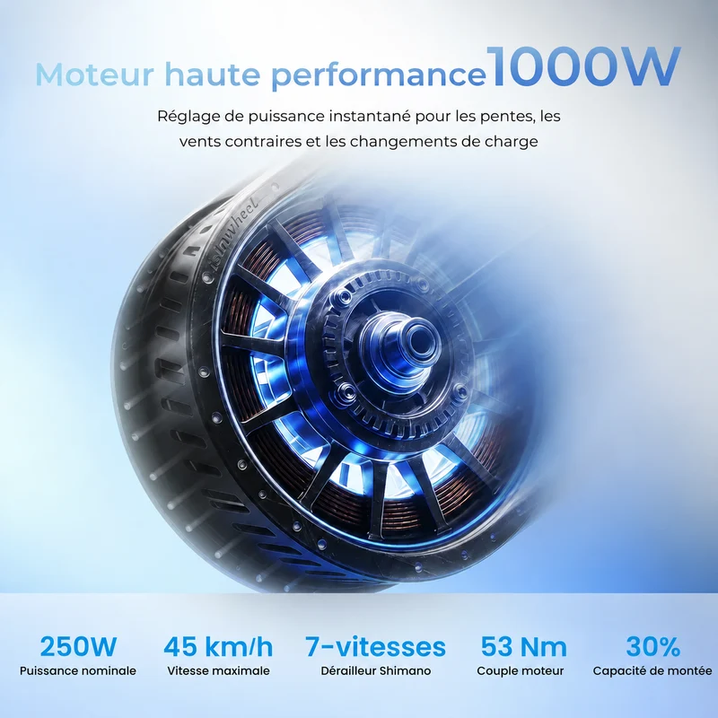 EB8 Vélo Électrique Tout-Terrain Pneus Larges - Autonomie 145km & Batterie Amovible