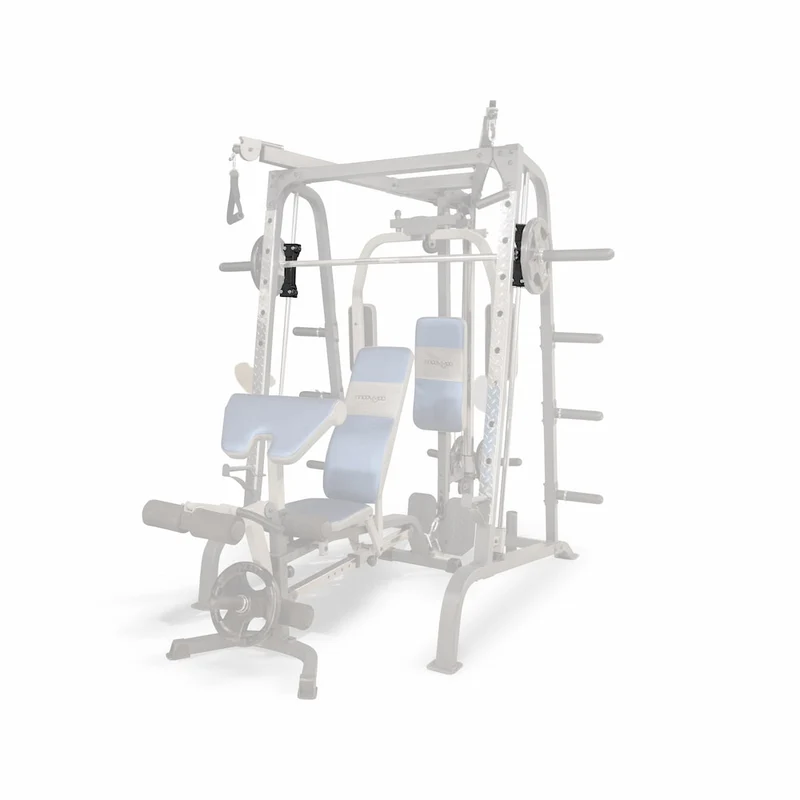 Roulements à billes pour Smith Machine Cobra