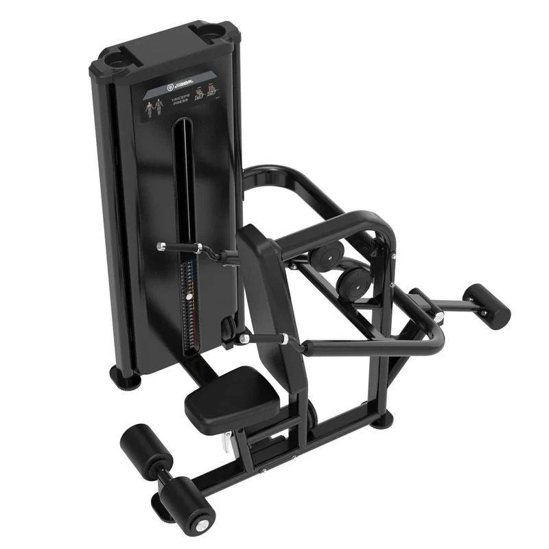 Dips de Triceps
