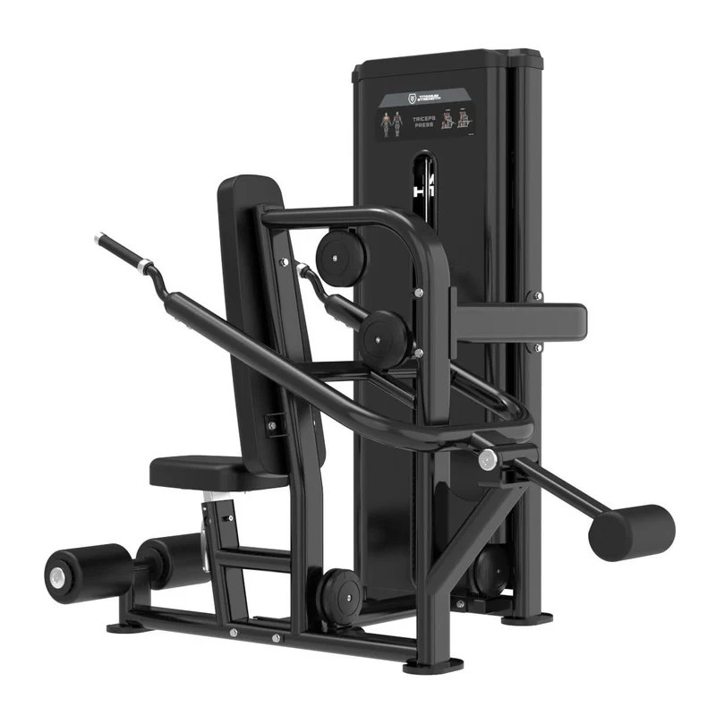 Dips de Triceps