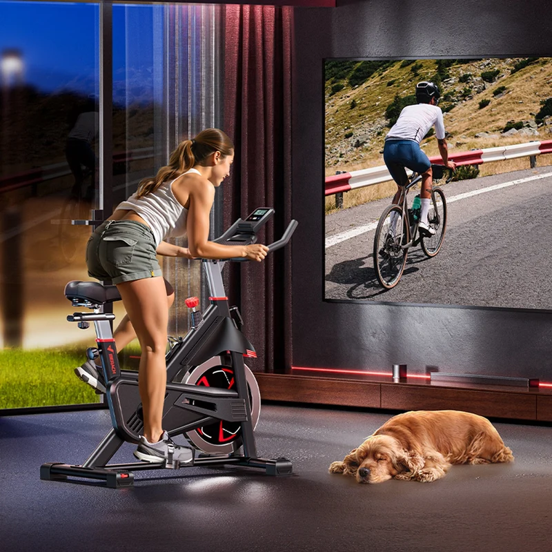Merach S38 Magnetic Resistance Exercise Bike