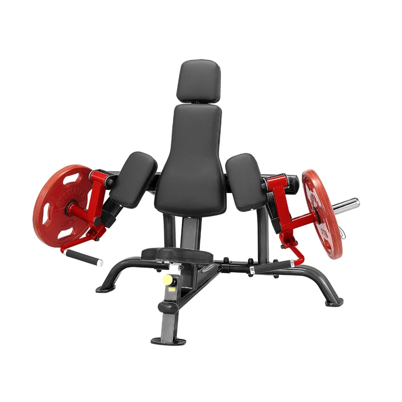 Plate Load Biceps Curl