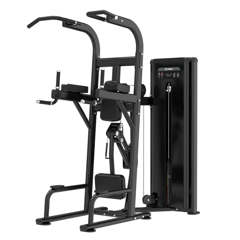 Dips et Tractions Assistées
