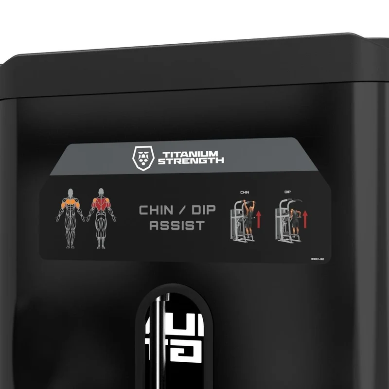 Dips et Tractions Assistées