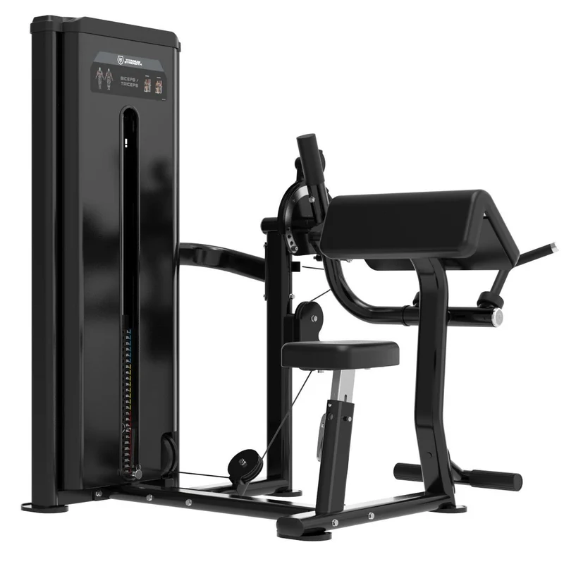 Dual Curl de Biceps et Extension de Triceps