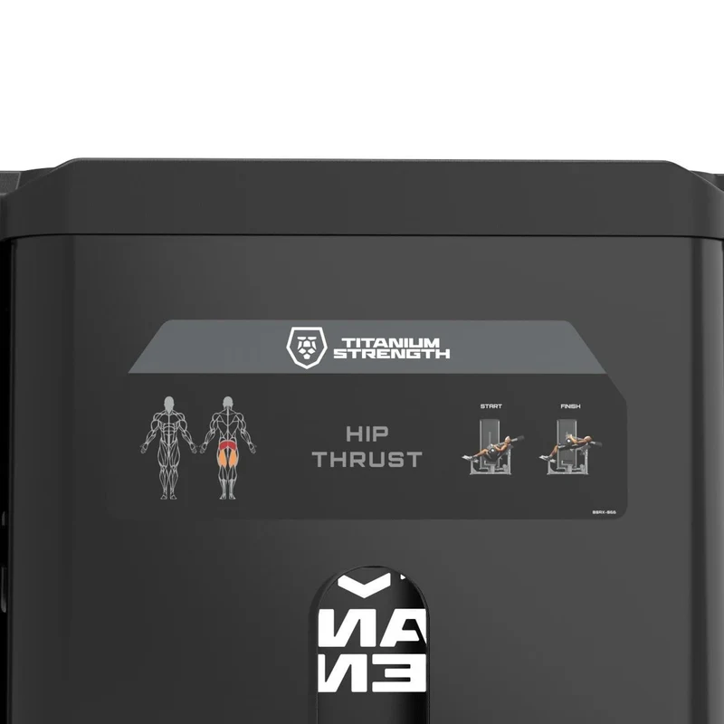 Hip Thrust