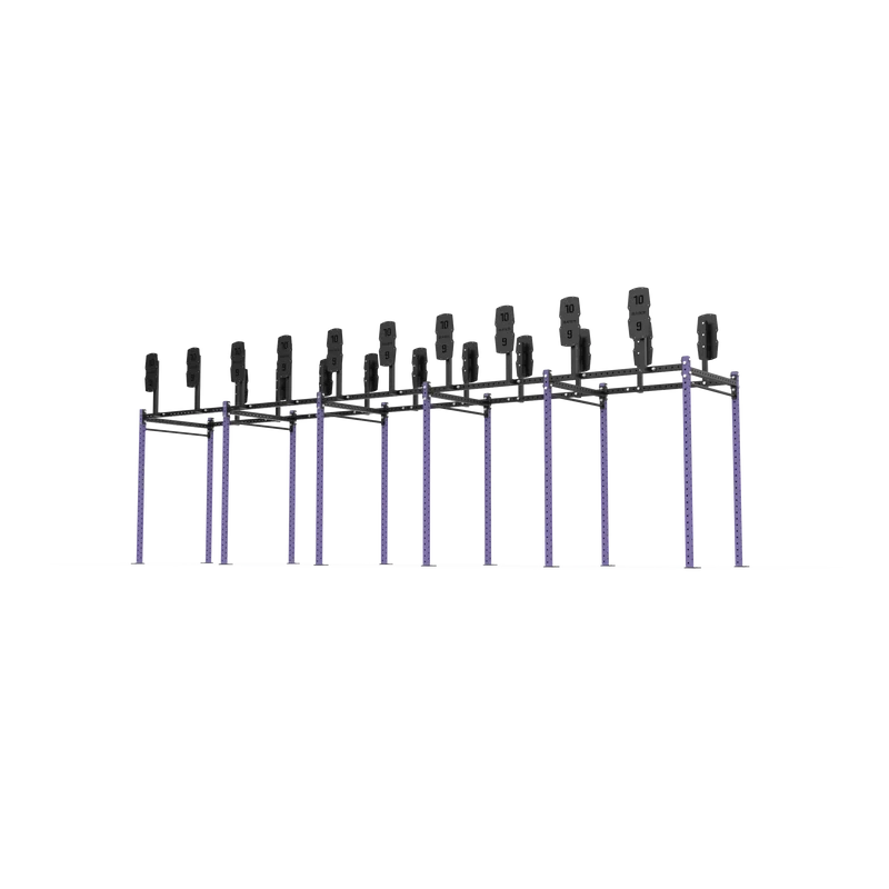 10 Bay Free Standing Competition Rig with Wall Ball Targets