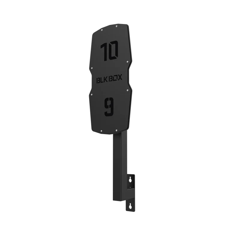 Competition Rig Mounted Wall Ball Target with Extension Arm