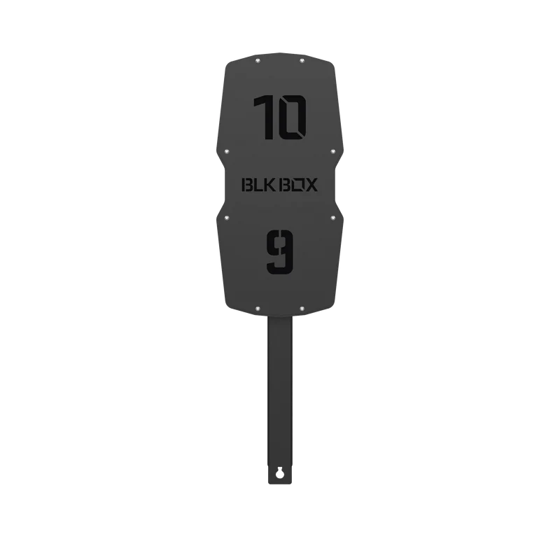 Competition Rig Mounted Wall Ball Target with Extension Arm