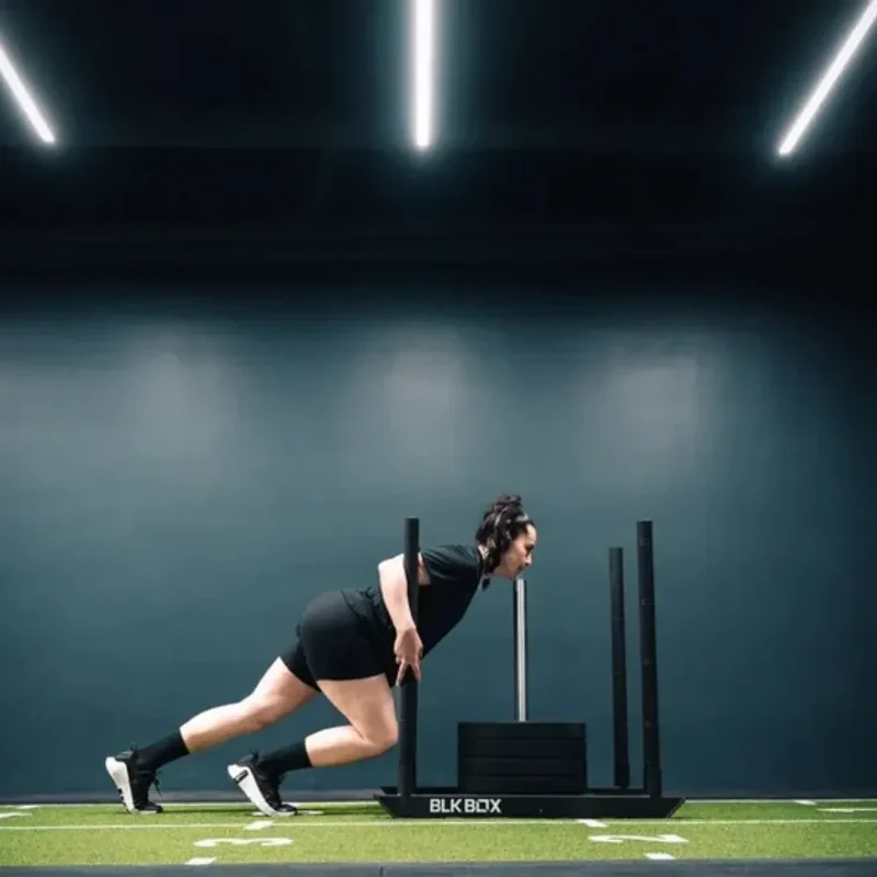 Competition Sled