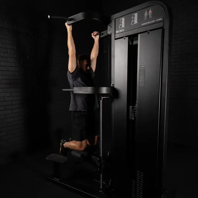 Pin Loaded Chin Dip Assist