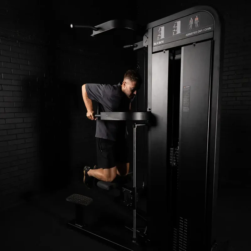 Pin Loaded Chin Dip Assist