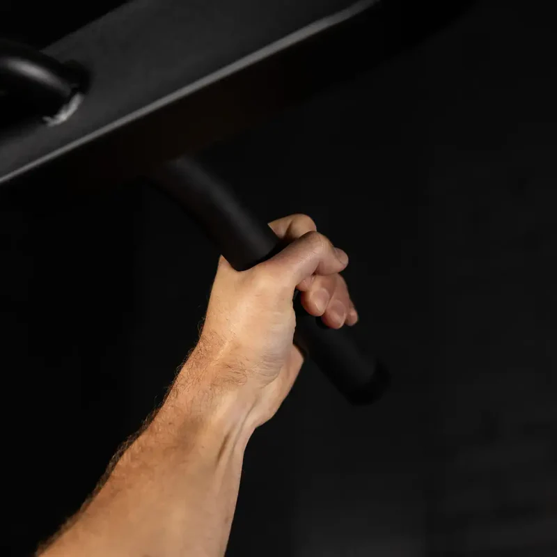 Pin Loaded Chin Dip Assist