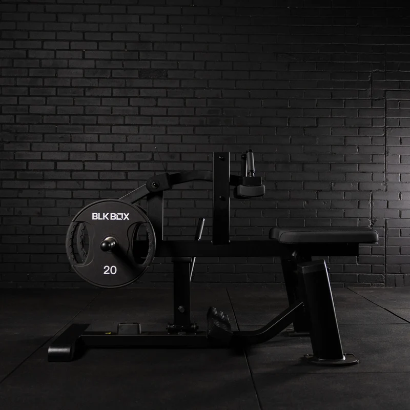Seated Calf Raise
