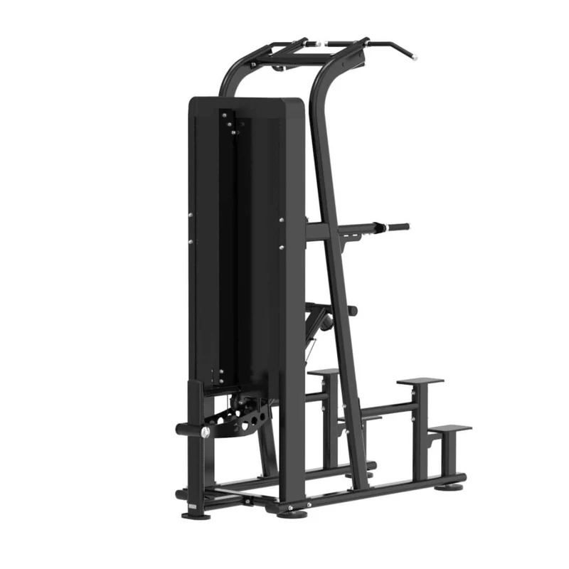 Dips et Tractions Assistées