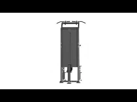 Dips et Tractions Assistées