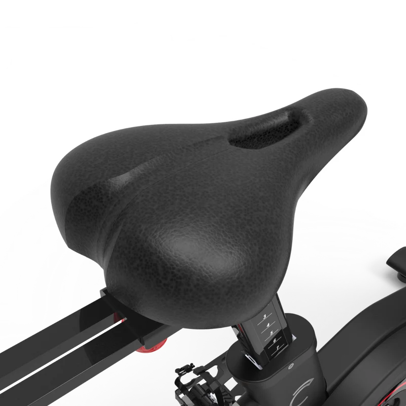 Cadenza Fitness S50 Vélo D'intérieur - Modèle Professionnel
