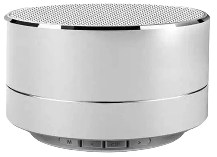 Reekin Marlin Haut-parleur Bluetooth avec kit main-libre inclusCâble chargeur USB