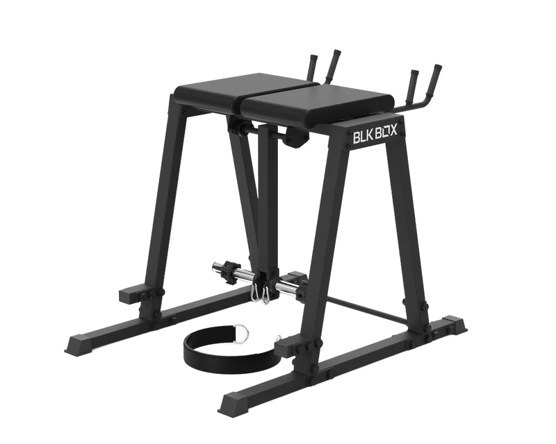 Reverse Hyper Extension