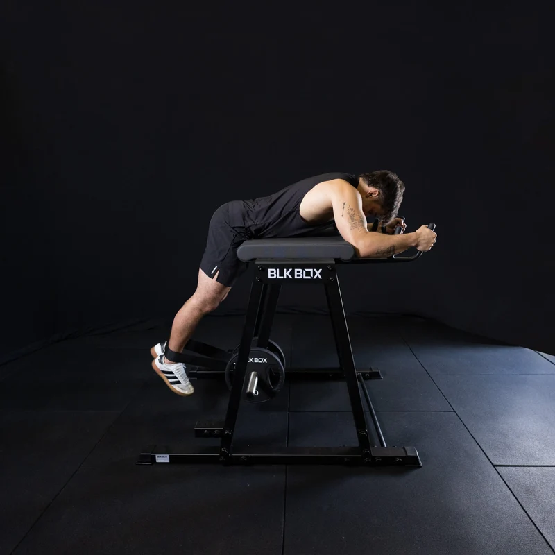 Reverse Hyper Extension