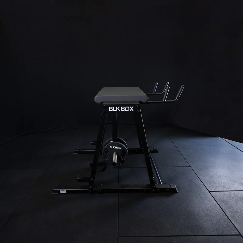 Reverse Hyper Extension