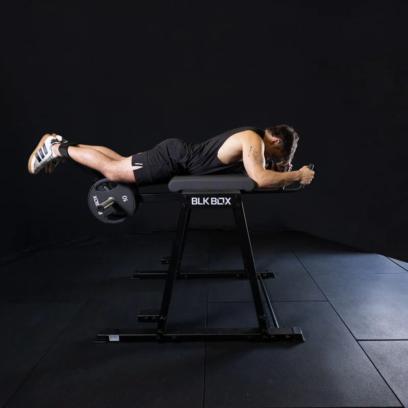 Reverse Hyper Extension
