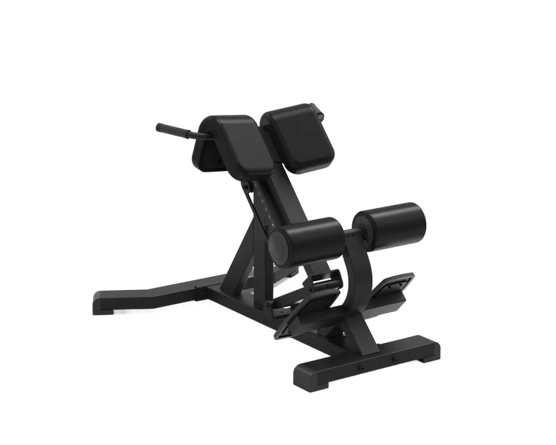 Back Extension
