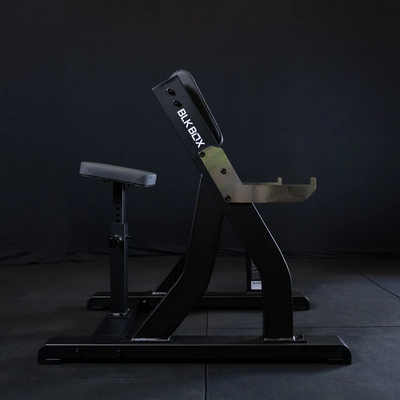 Preacher Curl Bench