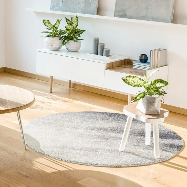 Tapis PACIFIK gris rond