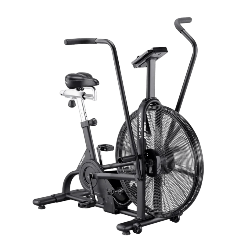 Assault Air Bike