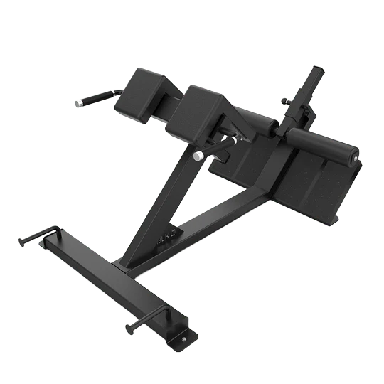 45 Degree Hyper Extension