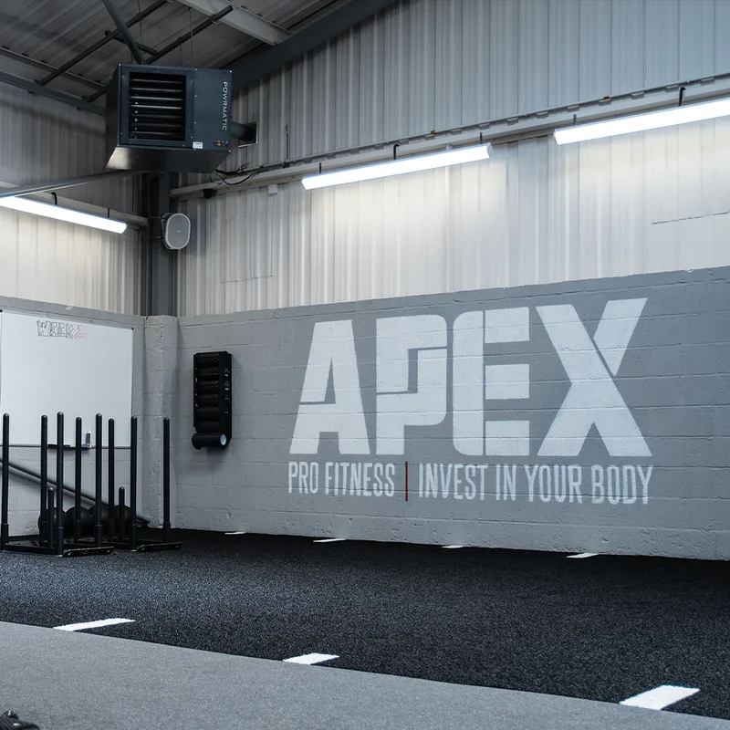 Agility Turf White Line and Markings