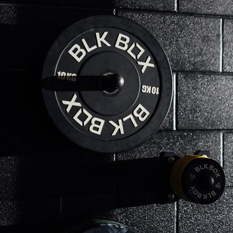 Wall Mounted Bumper Plate Storage