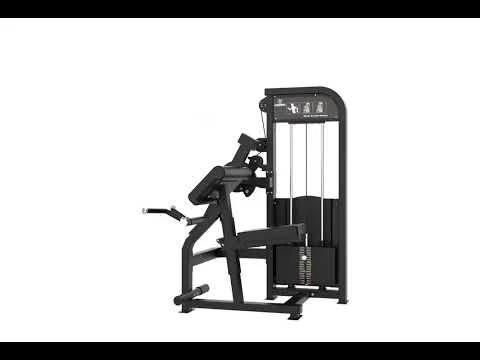 CURL DE BICEPS ET EXTENSION DE TRICEPS ELITE SERIES