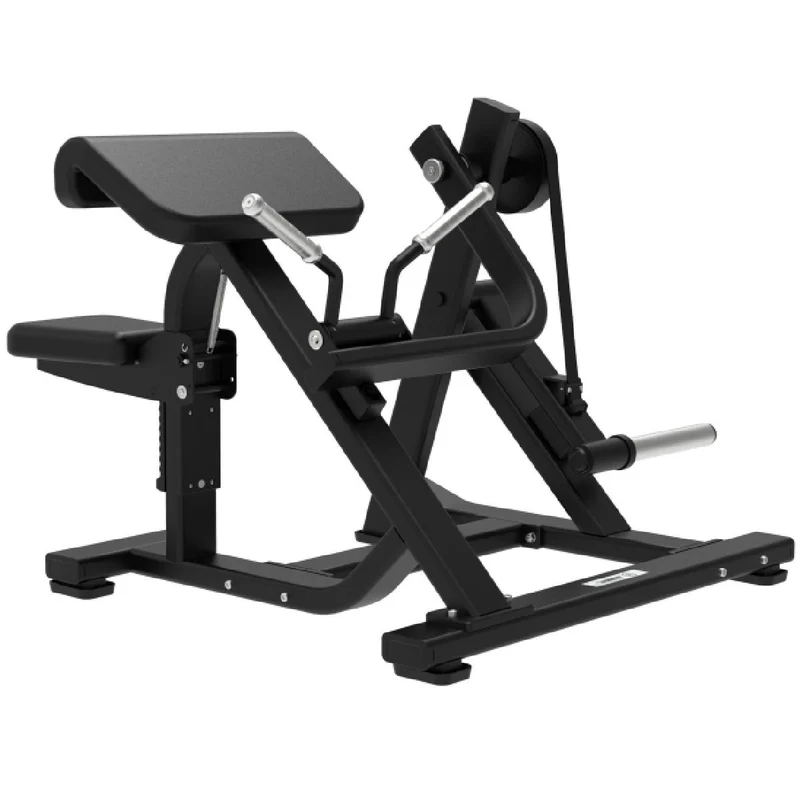 Biceps Curl avec Charge de Disques