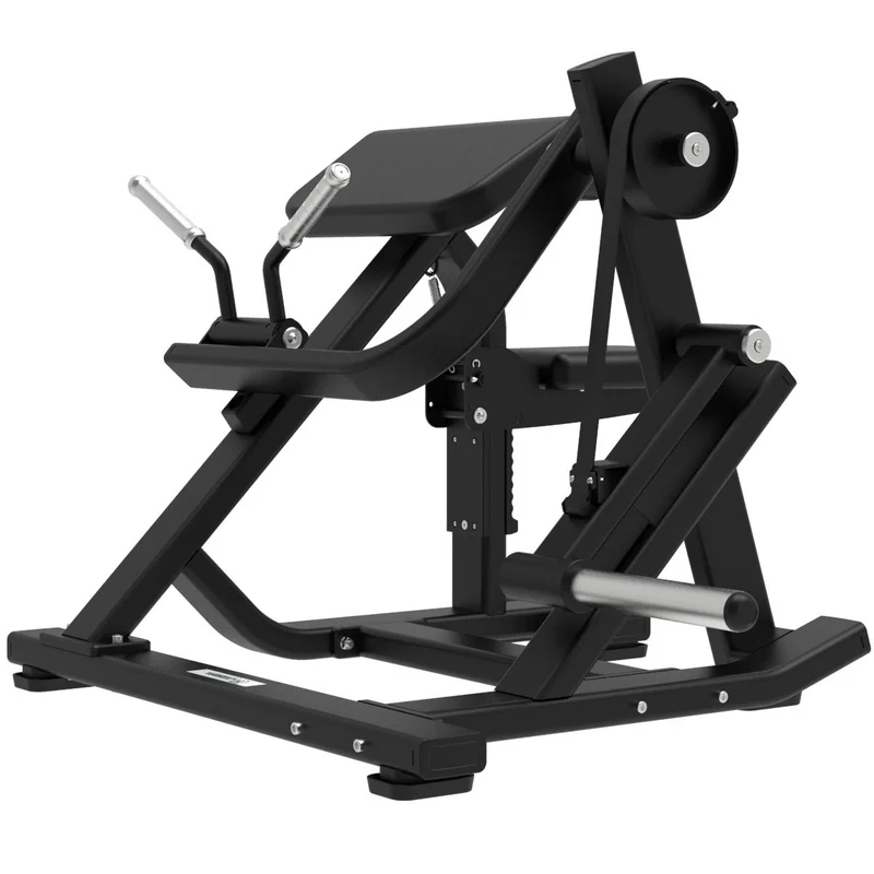 Biceps Curl avec Charge de Disques