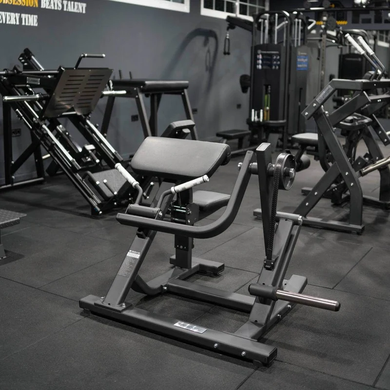 Biceps Curl avec Charge de Disques