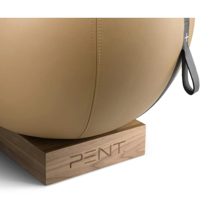 MESNA Exercise Sitting Ball