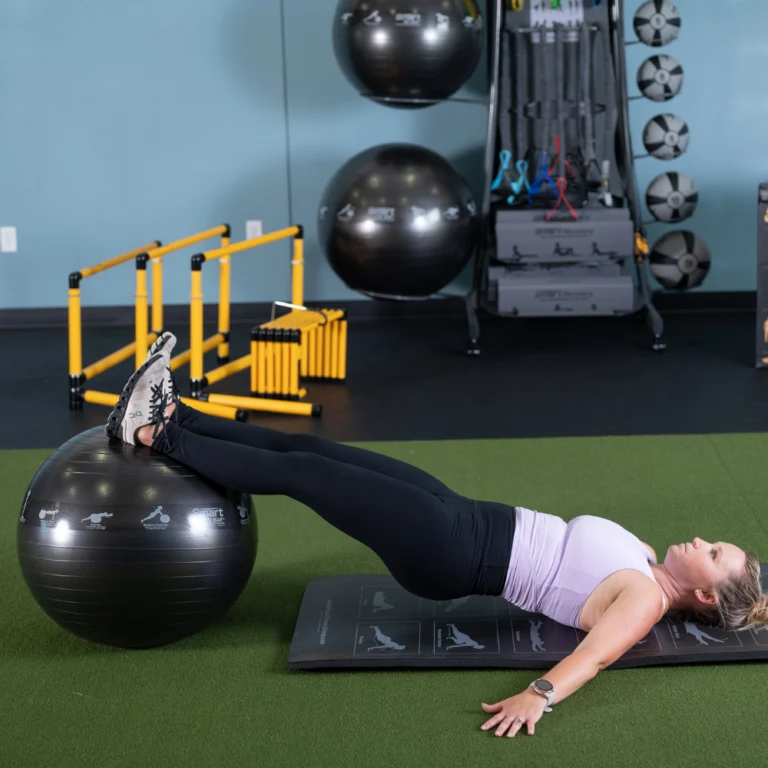 Prism Studio Stability Balls