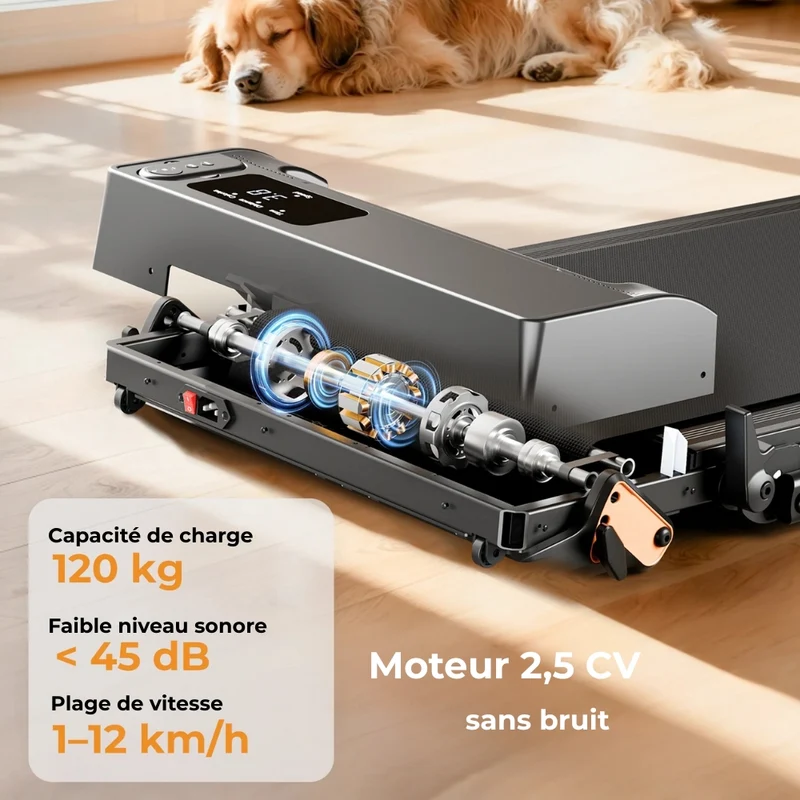 JT52 Tapis de course 2 en 1