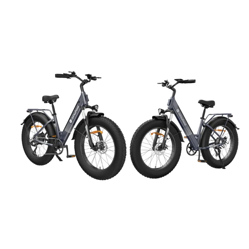 Fat Bike M60 Puissant : Pneus Tout-Terrain, 105km d'Autonomie & Batterie Amovible