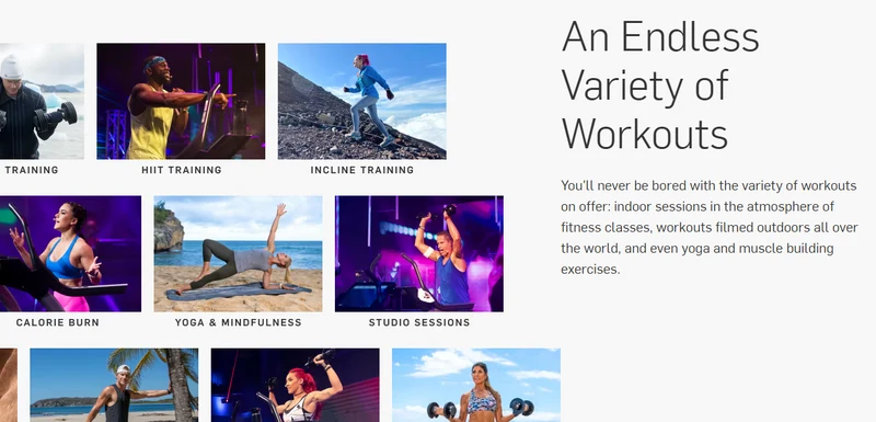 iFit Membership
