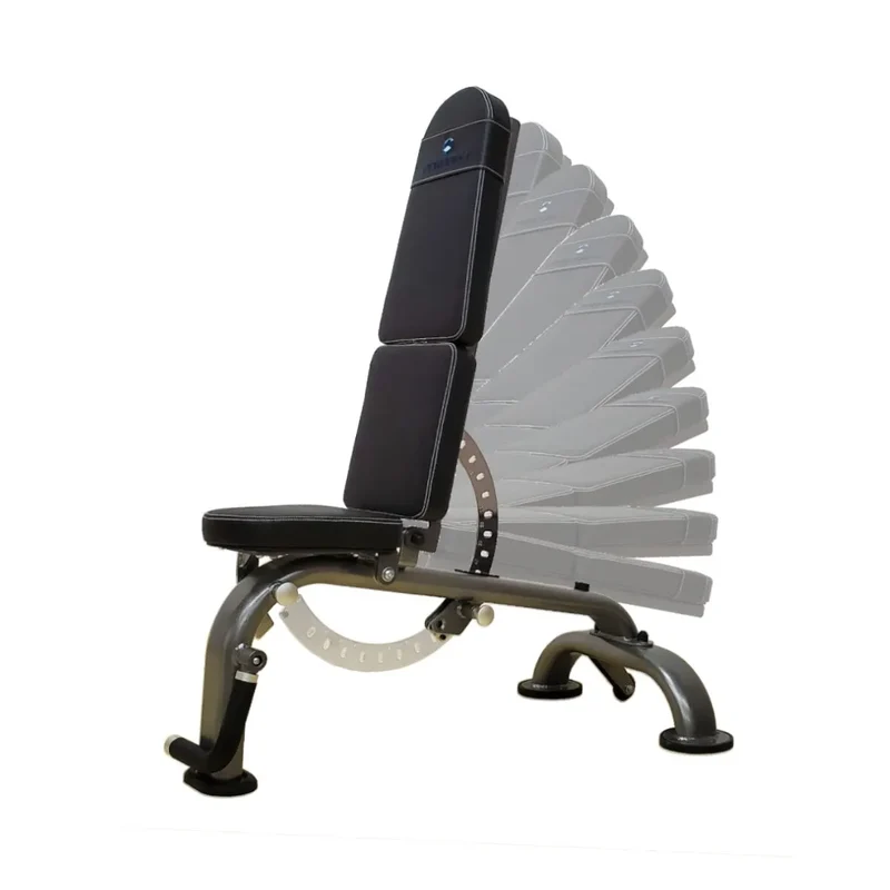 Paradigm F.I.D. Bench