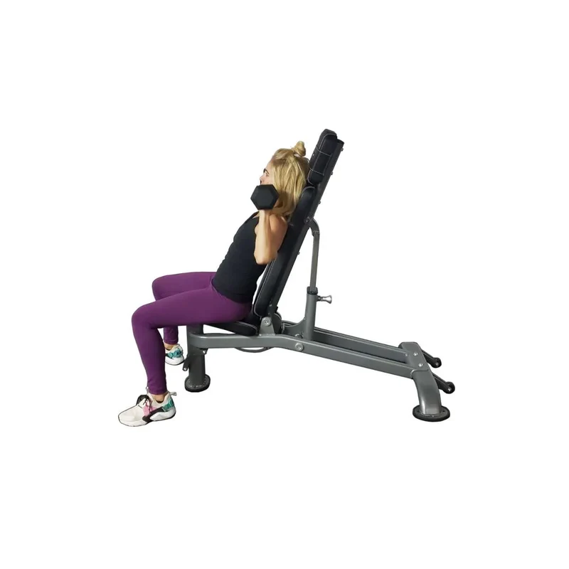 Paradigm F.I. Auto Bench