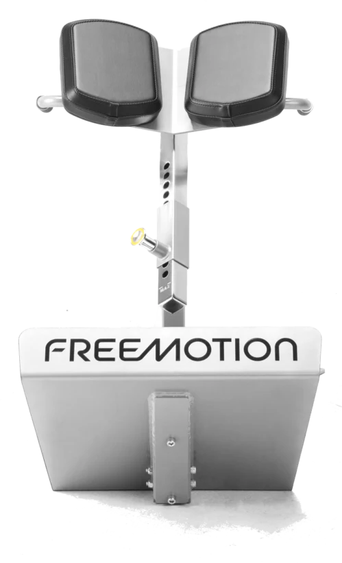 FreeMotion EF206 45° Back Extension